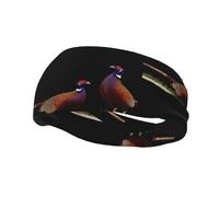 Un par de diademas elásticas de faisanes para yoga, deportes, fitness, correr, baloncesto, deportes que absorben el sudor,