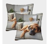 Un Perro Grande yace sobre el sofá Fundas De Almohada 2 Paquetes 50x50cm, Cojín Cuadrado,Adecuada para Sofá Cama,Coche Y Decoración del Hogar