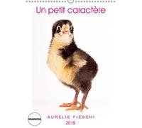 Un petit caractere (calendrier mural 2019 din a3 vertical) - si jeunes et déjà si expressifs ! (cale (Calvendo Animaux)
