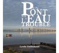 Un Pont Sur Leau Trouble (audiolibro)