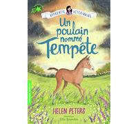 Un poulain nommé Tempête