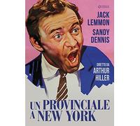 Un Provinciale A New York [Italia] [DVD]