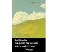 Un Punto Negro Sobre Un Cielo De Verano