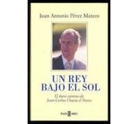 UN Rey Bajo El Sol: Duro Camino De Juan Carlos I Hacia El Trono