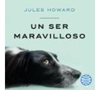Un Ser Maravilloso (audiolibro)