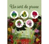 Un Sort De Prune (ebook)
