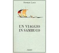 Un viaggio in sambuco (La collana dei casi)