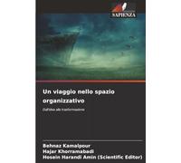 Un viaggio nello spazio organizzativo: Dall'idea alla trasformazione