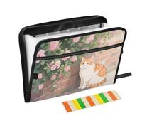 Una bonita carpeta expansible de dibujos animados de gato naranja con etiquetas, 13 bolsillos, tamaño carta A4 con cierre de cremallera para negocios