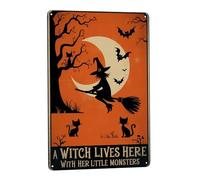 Una Bruja Vive Aquí Con Sus Pequeños Monstruos. Letreros Metalicos Letrero De Estaño Hierro Cartel De Metal Para Habitación Sala De Estar Jardín 20X30cm
