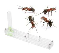 Una caja de cra de hormigas de hormigas hormigas acrlicas nido de cra de hormigas de hormiga hormiga hormiga con torre de agua hidratando con 1pcs