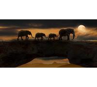 Una Familia de Elefantes - Juego de Rompecabezas de 2000 Piezas para Adultos: Juguete de Entretenimiento Familiar clásico y desafiante (14 años+)