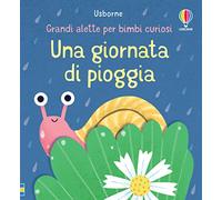 Una giornata di pioggia. Ediz. illustrata (Grandi alette per bimbi curiosi)