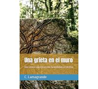 Una grieta en el muro: Diez relatos sobre el secreto, la identidad y el destino