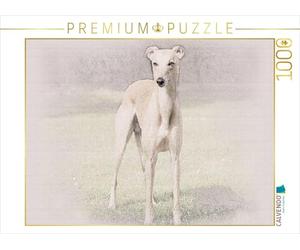 Una Imagen del Calendario Whippets 2017 de 1000 Piezas de Puzzle Horizontal