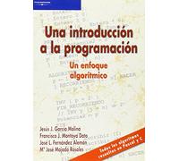 Una introducción a la programación. Un enfoque algorítmico (Informática)