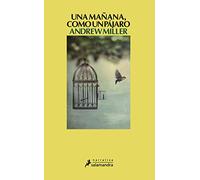 Una mañana, como un pájaro (Salamandra Narrativa)