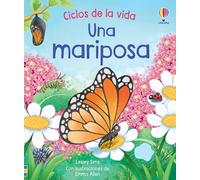 Una Mariposa Ciclos De La Vida