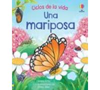 Una Mariposa Ciclos De La Vida