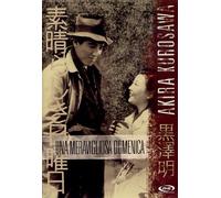 Una Meravigliosa Domenica [Italia] [DVD]
