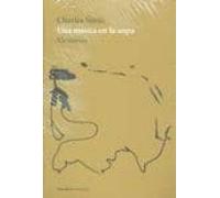 Una Mosca En La Sopa