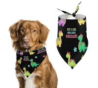 Una Mujer Que Adora Los Dinosaurios Adorables Bufanda De Mascota Duradero Bandanas para Perro Impermeable Pañuelos para Perro para Fiesta Bodas Vacaciones