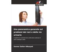 Una panoramica generale sui problemi dei reni e delle vie urinarie