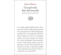 Una piccola fine del mondo. Intorno alla crisi psicotica (Vele)