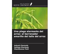 Una plaga alarmante del arroz: el barrenador amarillo del tallo del arroz