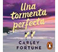 una tormenta perfecta (audiolibro)