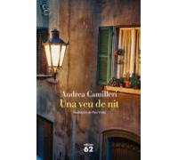 Una Veu De Nit (ebook)
