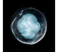 Una Victoria Alada Para Los Tristes - Los Cinco Indivisibles