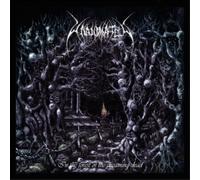 Unanimated In the Forest of the Dreaming Dead (CD) Album (Jewel Case)