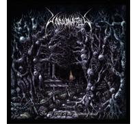 Unanimated In the Forest of the Dreaming Dead (Vinyl) 12" Album