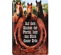 Unbekannt Caballos, y el en la Espalda Suerte de la Tierra Caballo 20 x 30 Cartel de Chapa 121