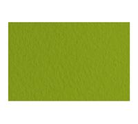 Unbekannt Fabriano Tiziano-Papel Pastel (DIN A4, 50 Hojas, 160 g/m2, Alto Contenido en Aguja, Resistente al Desgaste, Antideslizante, Superficie Rugosa, Pistakchio