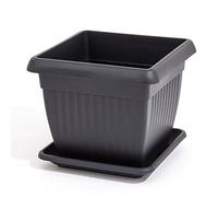 Unbekannt 'Prosperplast pkwt41 de S433 de Terra de Soporte, Antracita, 41 x 41 x 5,5 cm, 1 Pieza