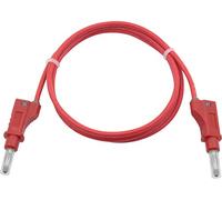 Unbekannt - Silicio de seguridad. messleit.1m roja