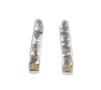 UNCLE LIAO Indicador Espejo Lateral para W220 W215 S CL Klasse CL500 S500 S600 A2208200521 A2208200621 Espejo Lateral Intermitente Luz Intermitente Retrovisor.,C-1 Pair