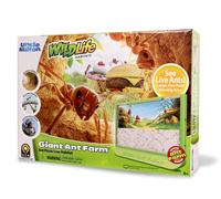 Uncle Milton Giant Ant Farm Extra Large Viewing Area New