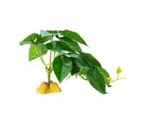 UncleS Reptiles Planta Hierba Para Escalar Hábitat Decoraciones Rama Con Hojas Para Lagartos, Arañas, Escondites De Serpientes, Plantas Artificiales Reptiles