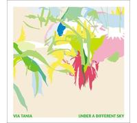 Under a Different Sky