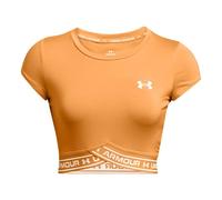 Under Armour Top Crop Diseño Logotipo para Mujer (GT10253)