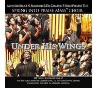 Bruce N. Seawood - Under His Wings