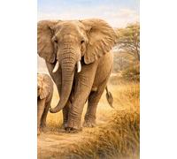 Under The African Sky: A5 Lined Notebook