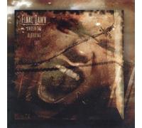 Under the Bleeding Sky by Final Dawn