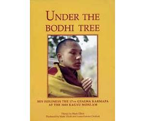Under the Bodhi Tree [Reino Unido] [DVD]