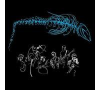 Under the Bones of the Great Blue Whale