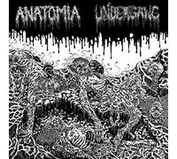 Undergang & Anatomia - Split Lp [Vinilo]