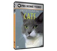 Understanding Cats [Edizione: Stati Uniti] [USA] [DVD]